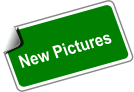 New Pictures