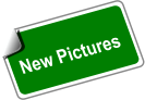 New Pictures
